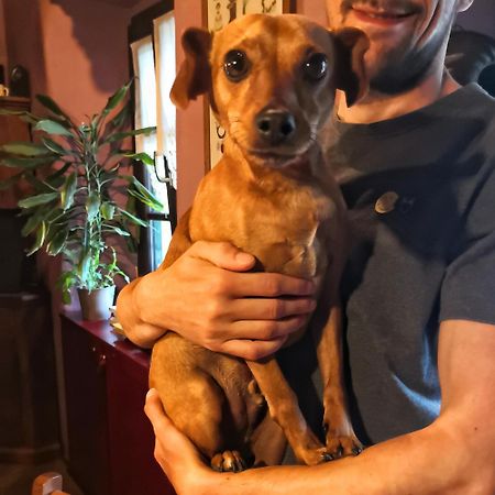 B&B Dove Comincia La Bella Italia Beura Kültér fotó